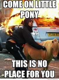 Come on little pony this is no place for you.