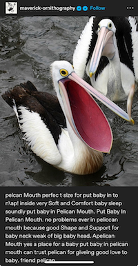 pelican Mouth perfec t size to put baby