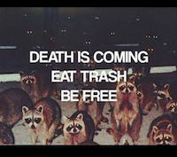 Death is coming. Eat trash. Be free.